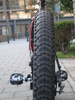 Surly Pugsley - rear forks